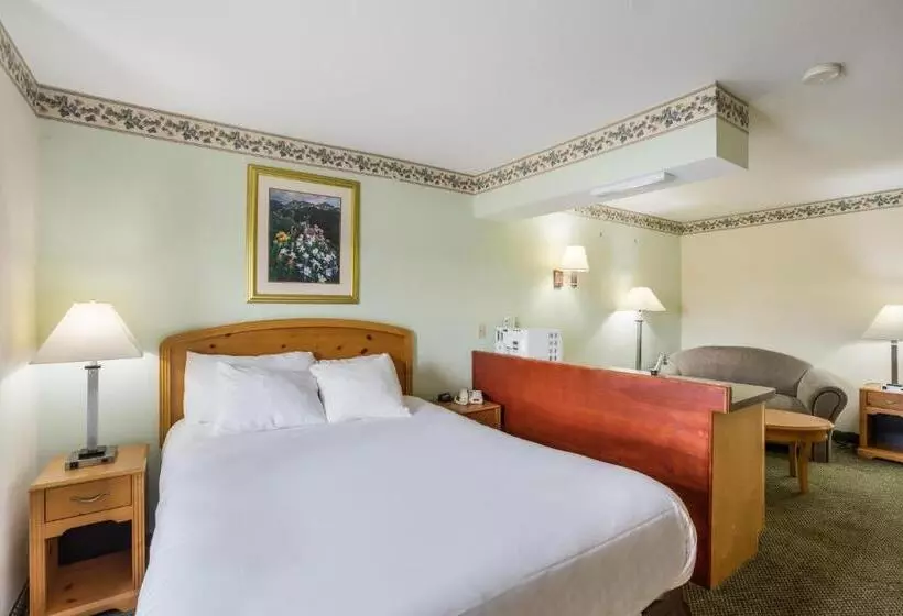 汽车旅馆  Americas Best Value Inn Three Rivers