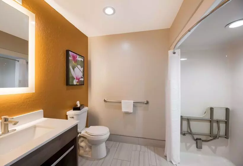 汽车旅馆  Best Western Bellemont Shadow Mountain Inn