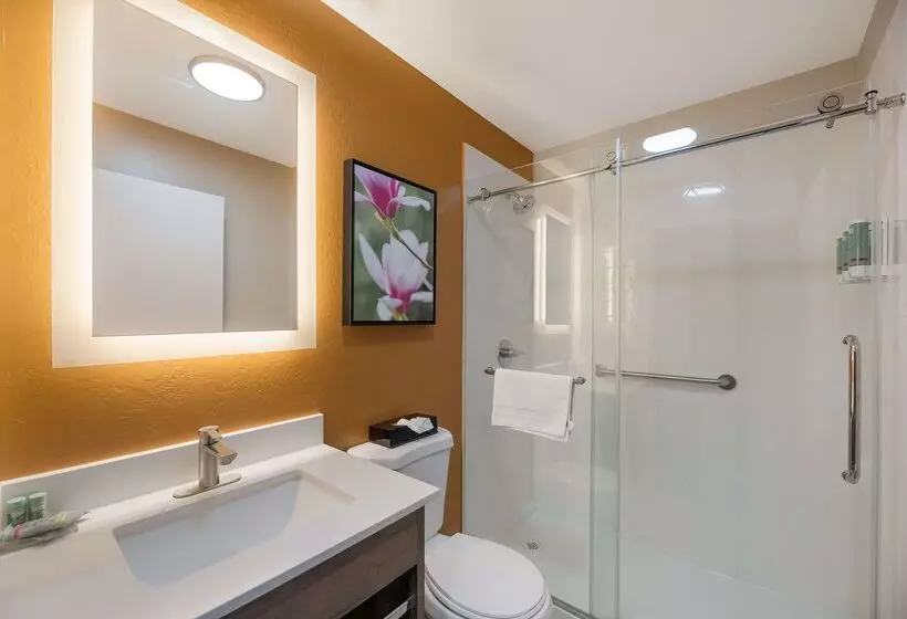 汽车旅馆  Best Western Bellemont Shadow Mountain Inn