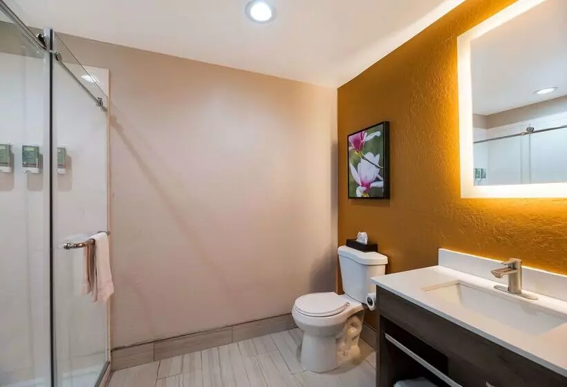 汽车旅馆  Best Western Bellemont Shadow Mountain Inn