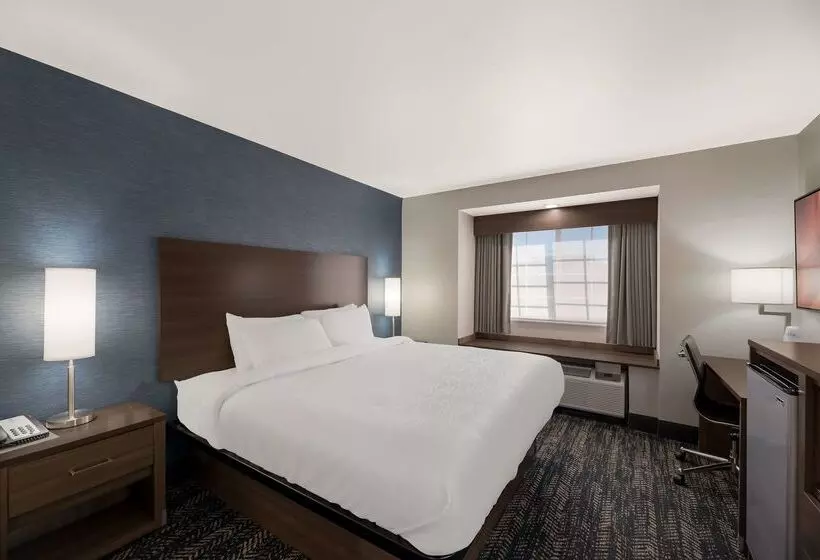 汽车旅馆  Best Western Bellemont Shadow Mountain Inn