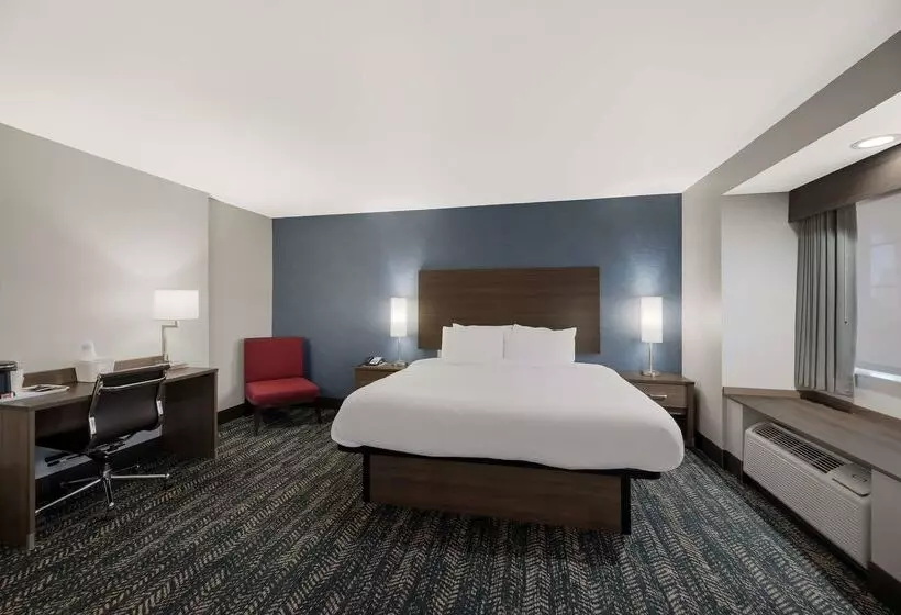 汽车旅馆  Best Western Bellemont Shadow Mountain Inn