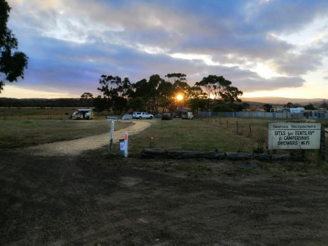 فندق صغير Swansea Backpackers