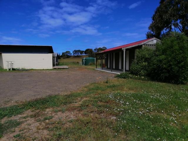 فندق صغير Swansea Backpackers