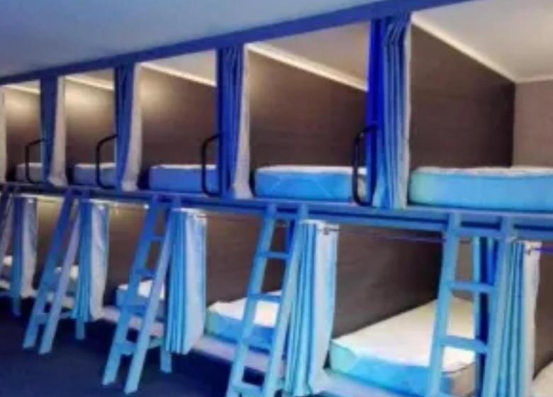 فندق صغير Swansea Backpackers