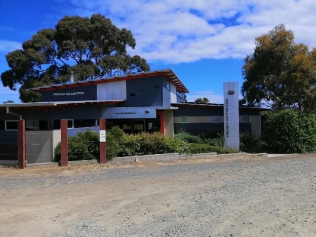 فندق صغير Swansea Backpackers