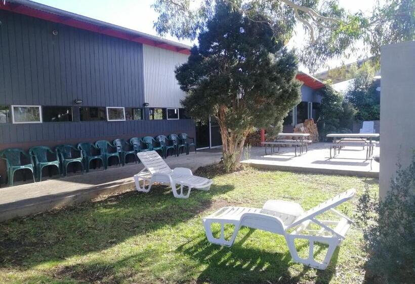 فندق صغير Swansea Backpackers