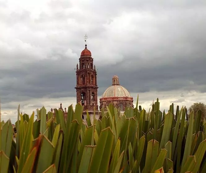 ベッドアンドブレックファースト Casa De Los Olivos