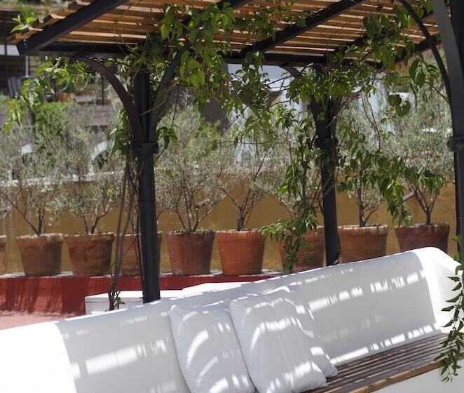 تختخواب و صبحانه Casa De Los Olivos