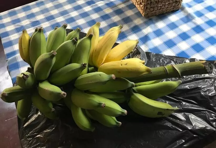 Aamiaismajoitus (B&B) Vitorina Corte Guesthouse