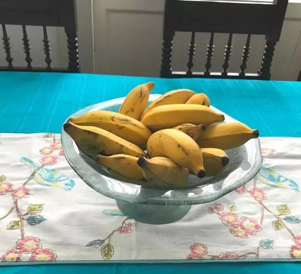 Aamiaismajoitus (B&B) Vitorina Corte Guesthouse