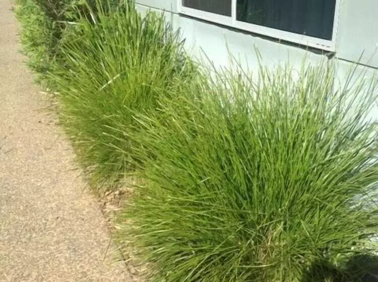 Direct Collective Villas On Rivergum