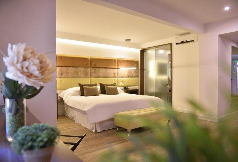 هتل Denver Mar Del Plata