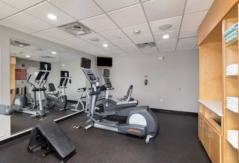 Отель Towneplace Suites By Marriott Dallas Mckinney