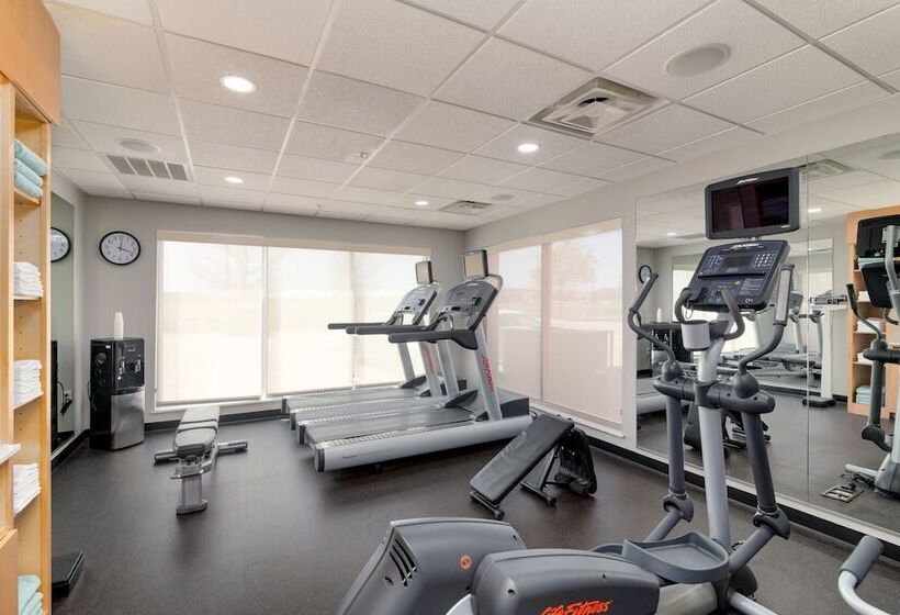 酒店 Towneplace Suites By Marriott Dallas Mckinney