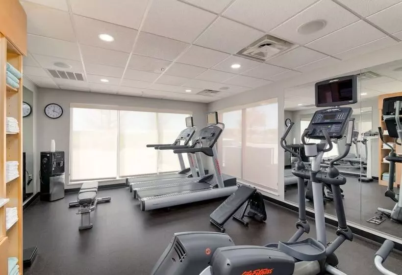 Отель Towneplace Suites By Marriott Dallas Mckinney