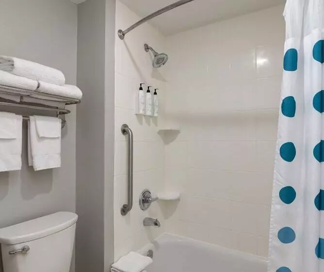 Отель Towneplace Suites By Marriott Dallas Mckinney