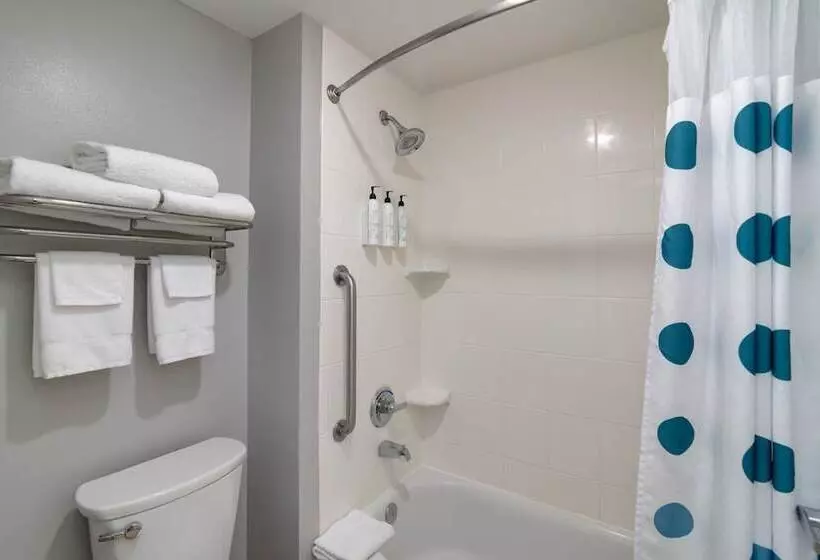 Отель Towneplace Suites By Marriott Dallas Mckinney
