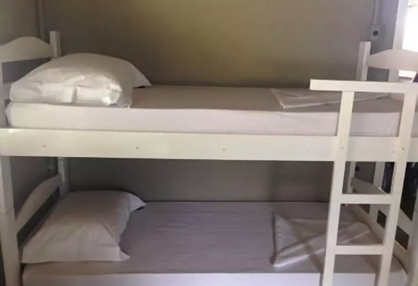 호스텔 B. Llacco Backpacker