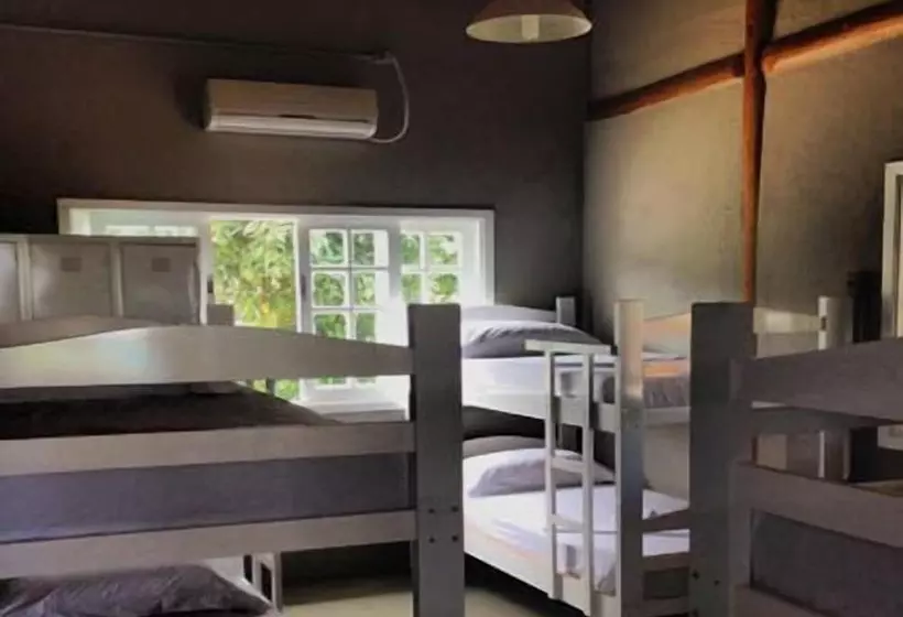 호스텔 B. Llacco Backpacker