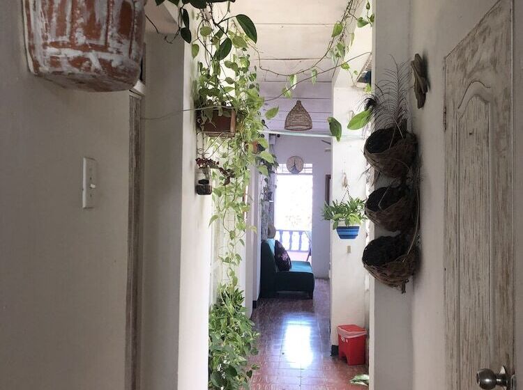 Отель Balcones De Venecia