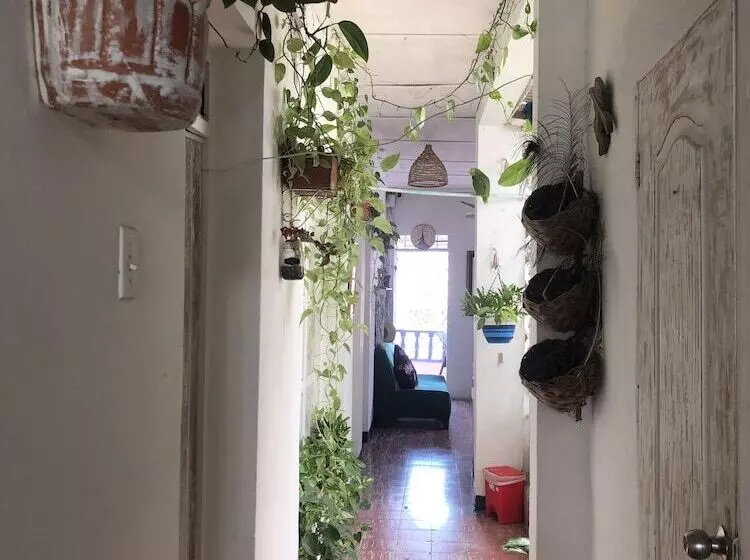 Hotel Balcones De Venecia