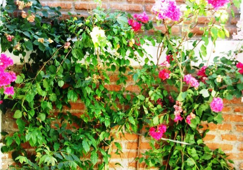 هتل Casa Barcelona