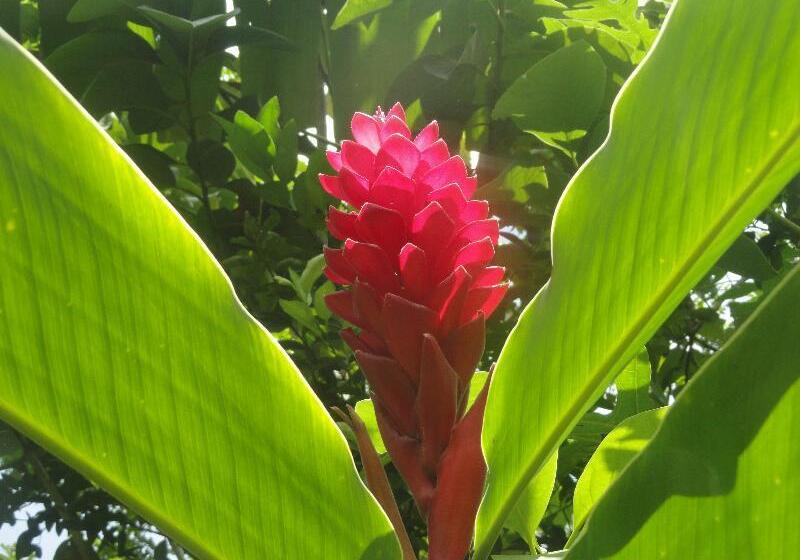 هتل Casa Barcelona