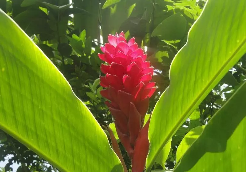 هتل Casa Barcelona