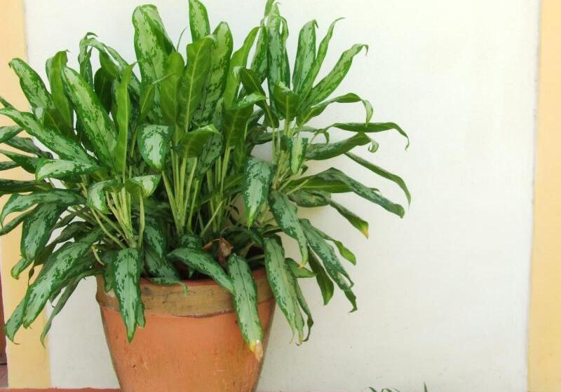 هتل Casa Barcelona