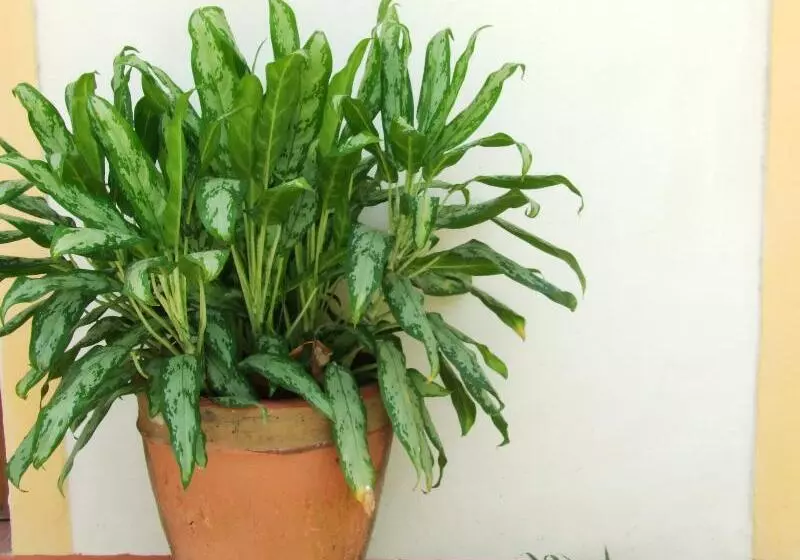 هتل Casa Barcelona