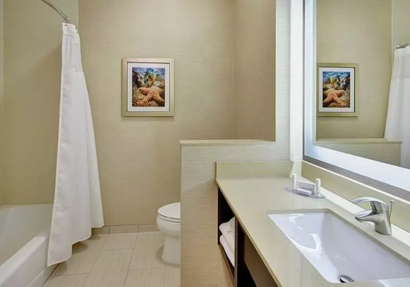 酒店 Fairfield Inn & Suites By Marriott San Diego Carlsbad