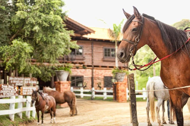 호텔 Fazzenda Park Resort