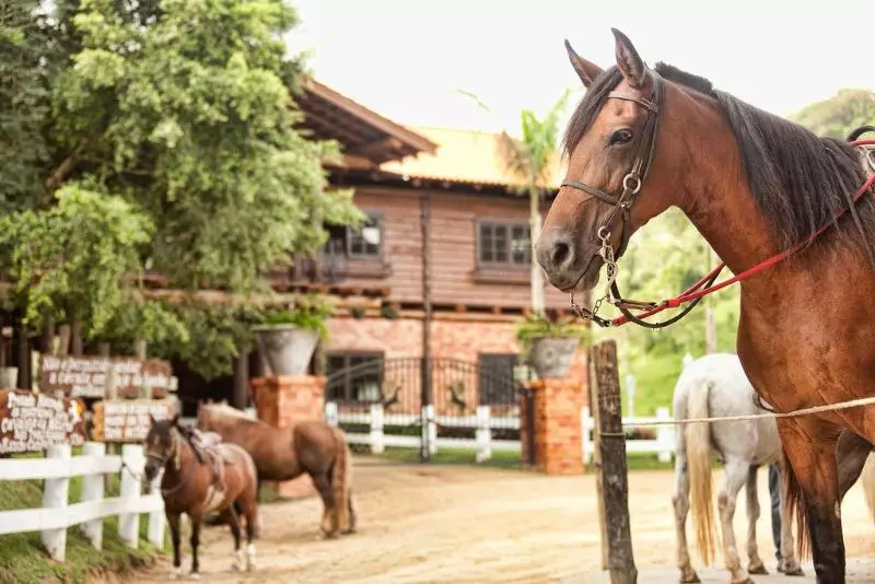 ホテル Fazzenda Park Resort