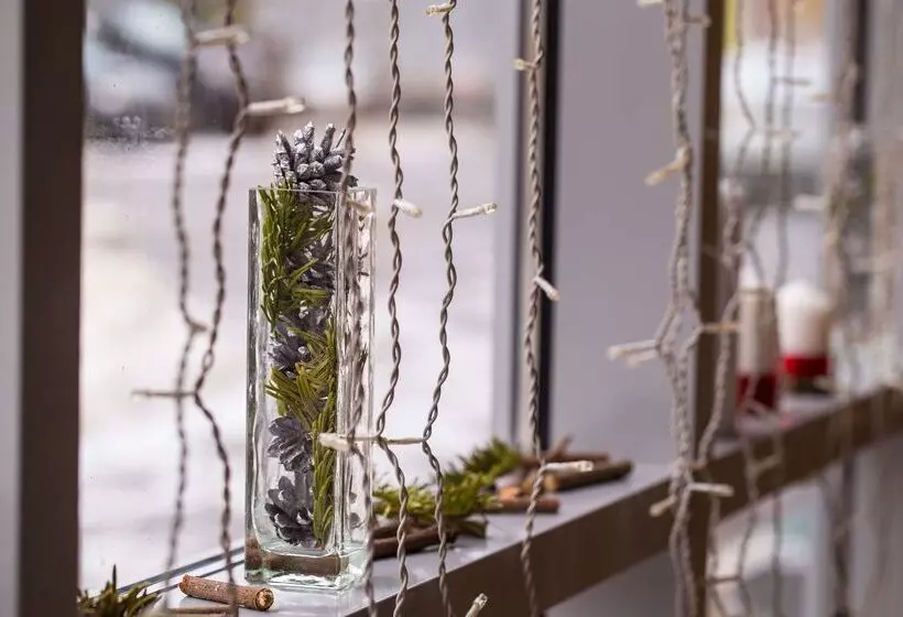 ホテル Park Inn By Radisson Izmailovo Moscow