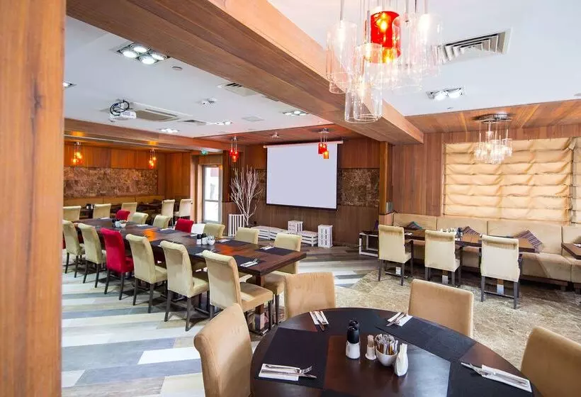 ホテル Park Inn By Radisson Izmailovo Moscow