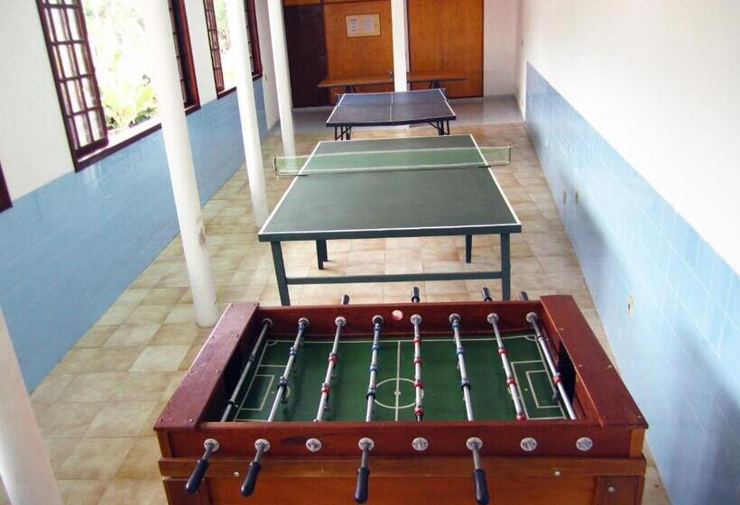 Отель Pousada Das Rosas