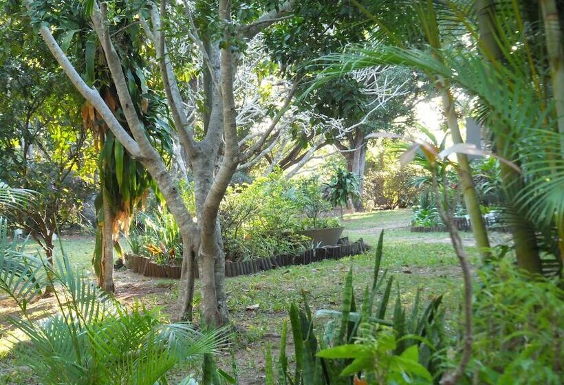 فندق St Lucia Kingfisher Lodge