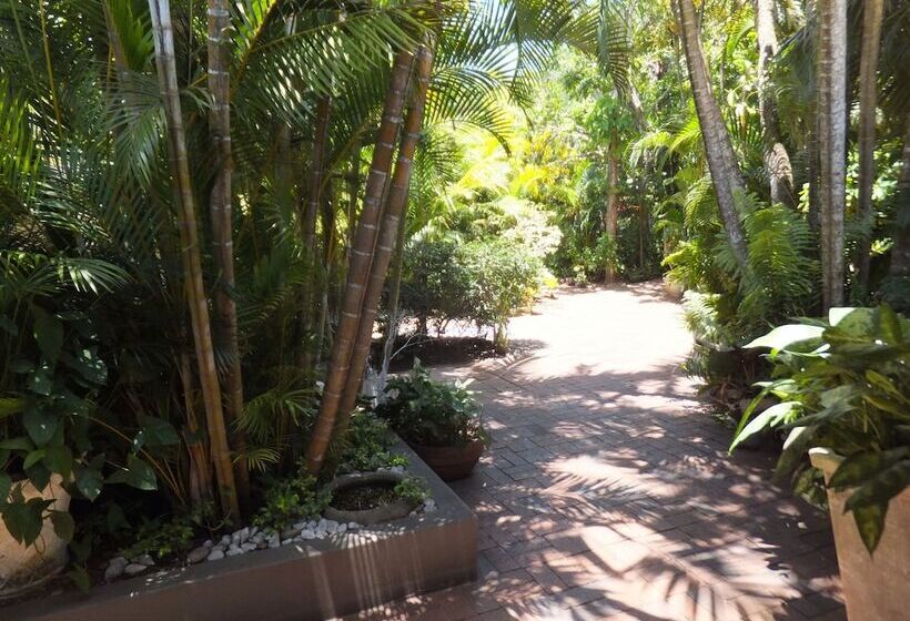 فندق St Lucia Kingfisher Lodge