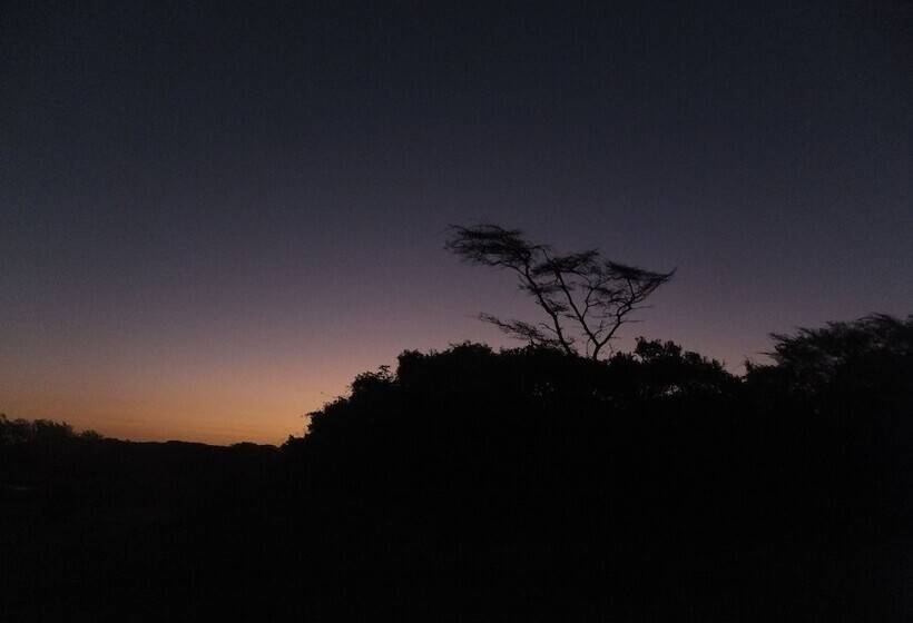 فندق St Lucia Kingfisher Lodge