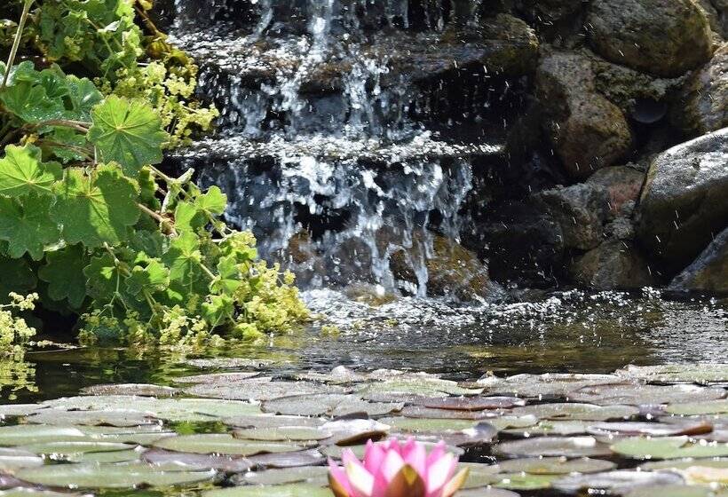 ホテル Stiftsgården Åkersberg