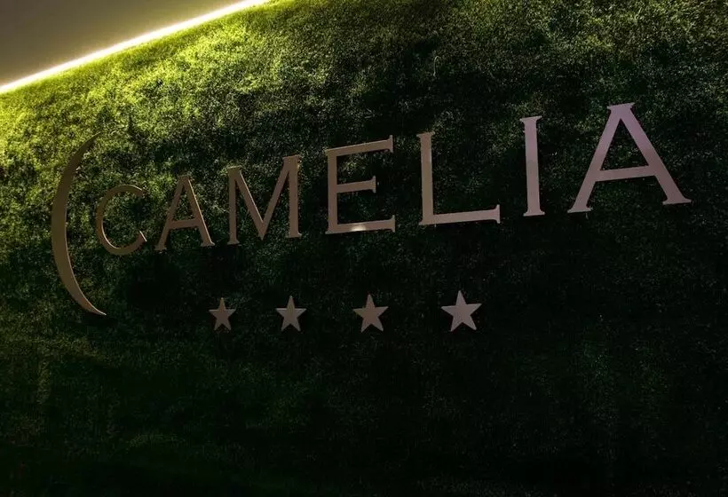 Мотель Camelia