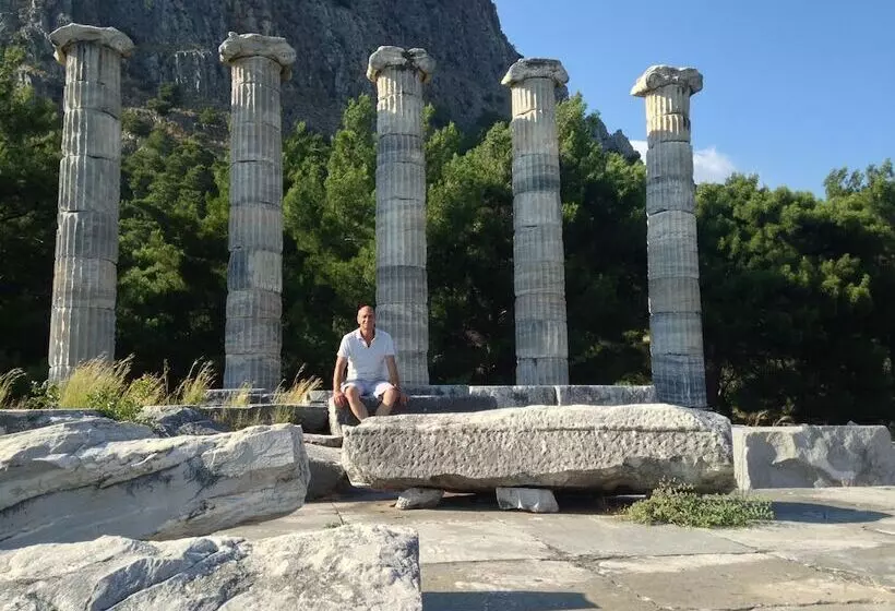 ペンション Terrace Houses Sirince Fig, Olive Clockmakers And Grapevine