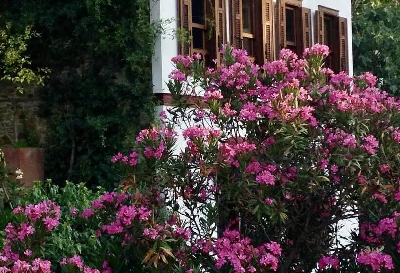 ペンション Terrace Houses Sirince Fig, Olive Clockmakers And Grapevine