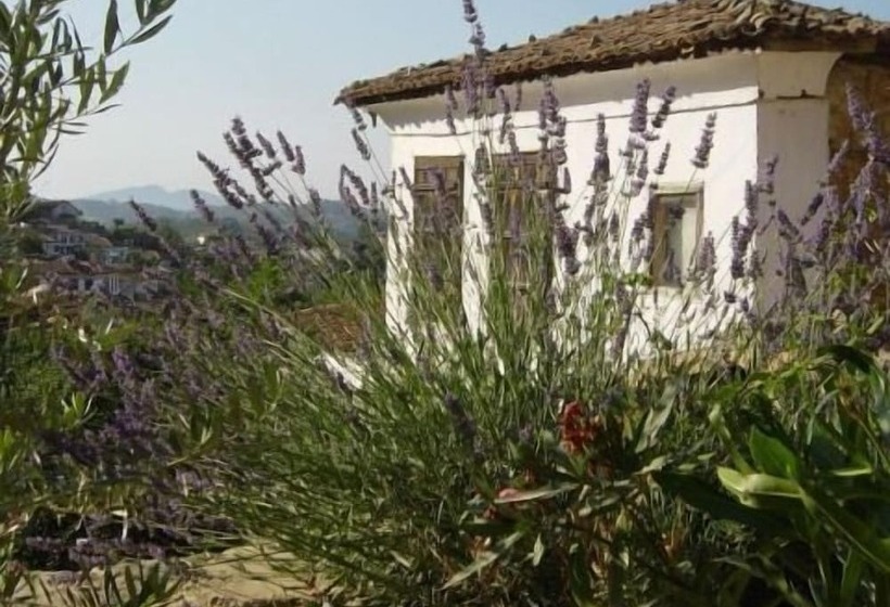 بنسيون Terrace Houses Sirince   Fig, Olive Clockmakers And Grapevine