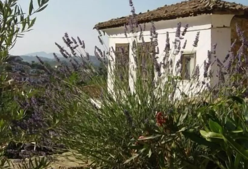 ペンション Terrace Houses Sirince Fig, Olive Clockmakers And Grapevine