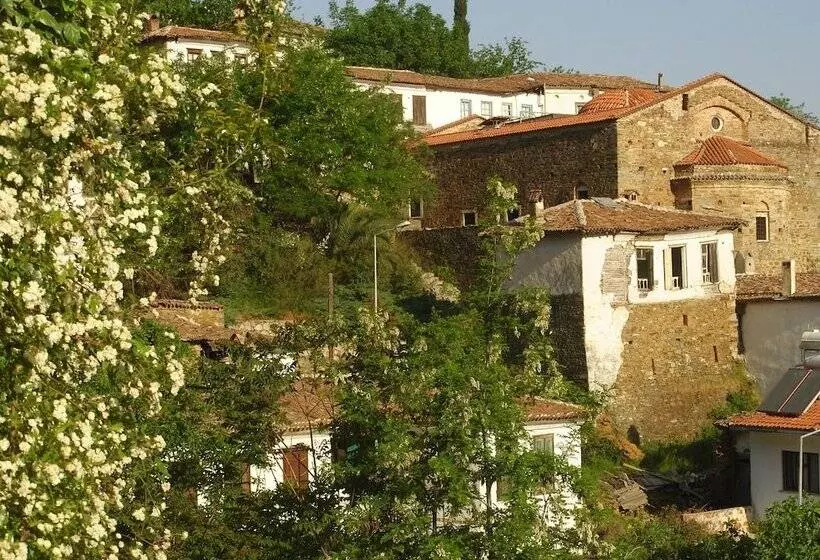 ペンション Terrace Houses Sirince Fig, Olive Clockmakers And Grapevine