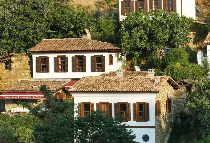 ペンション Terrace Houses Sirince Fig, Olive Clockmakers And Grapevine