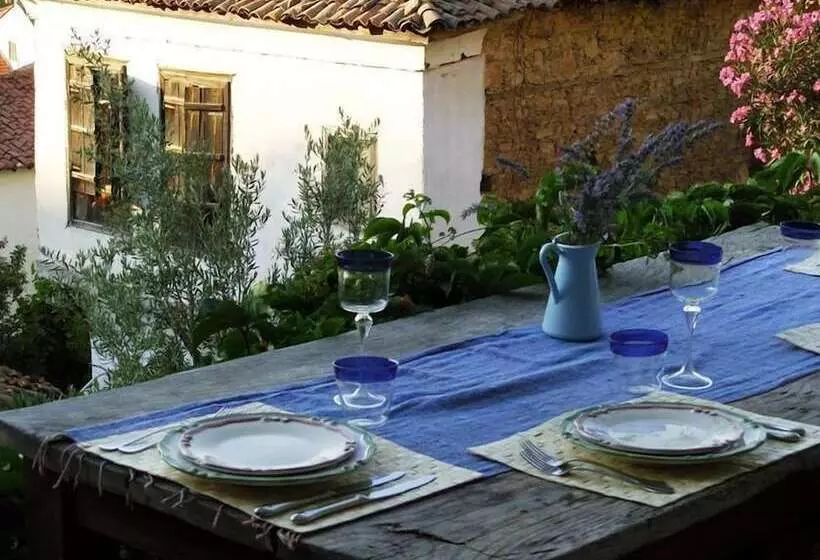 ペンション Terrace Houses Sirince Fig, Olive Clockmakers And Grapevine