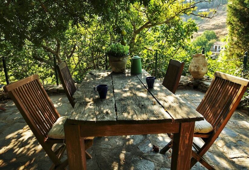 بنسيون Terrace Houses Sirince   Fig, Olive Clockmakers And Grapevine
